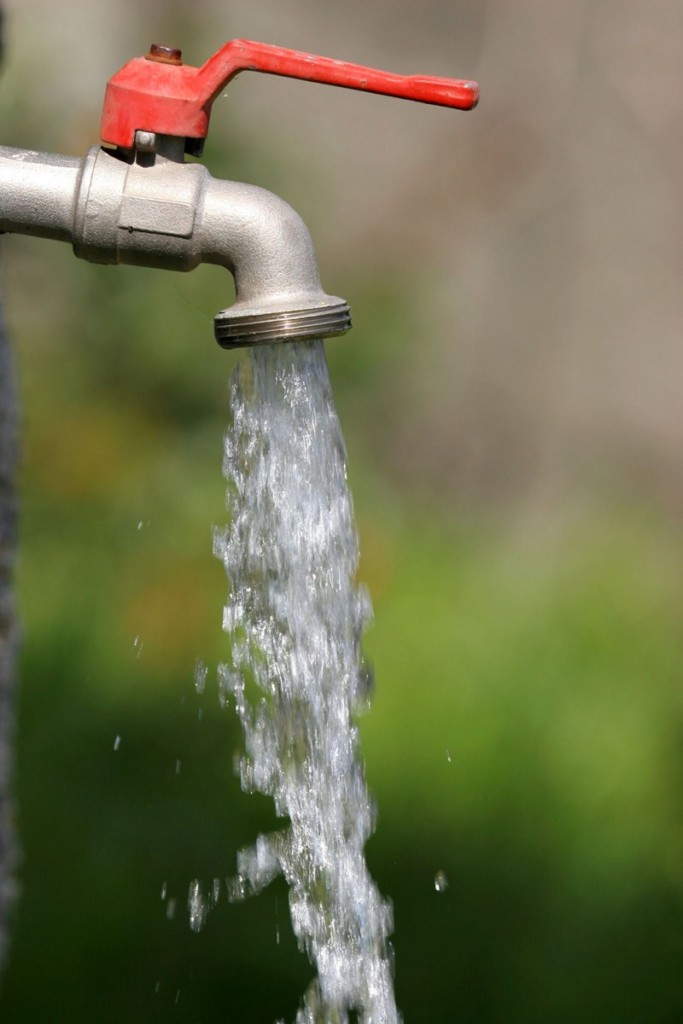 Bronbelasting op royalty en dividend